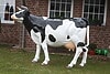 Deko Kuh mit Hörner schwarz weiß