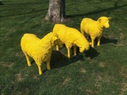 Drei Deko Kunst Schaf in der Farbe gelb