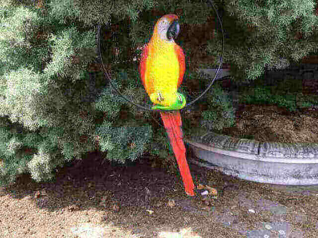Bemalter Papagei für Garten Deko