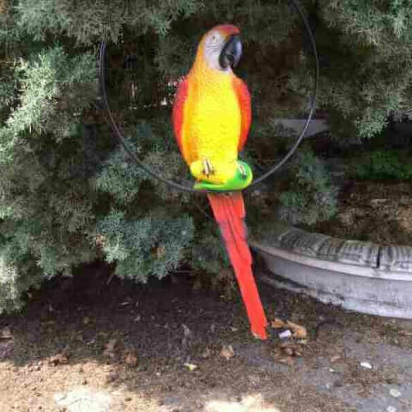 Bemalter Papagei für Garten Deko