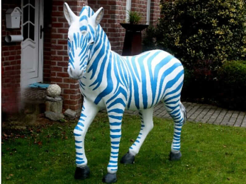 Duisburg Zebra Blau Weiß