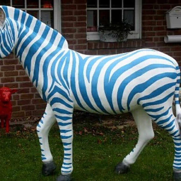 Duisburg Zebra Blau Weiß