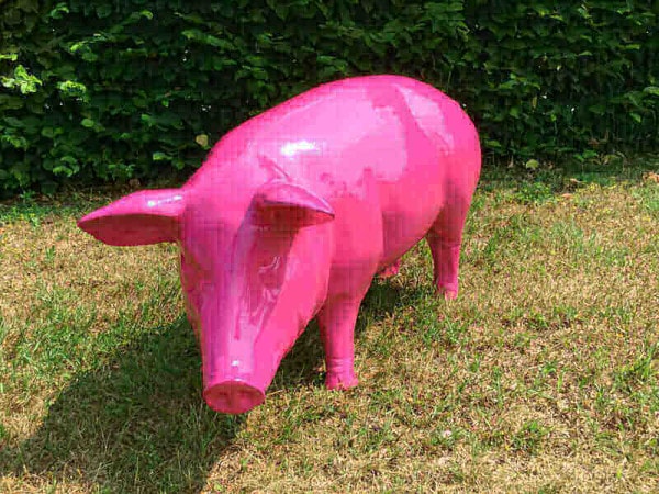 Einfarbiges Schwein in Ihrer Wunschfarbe