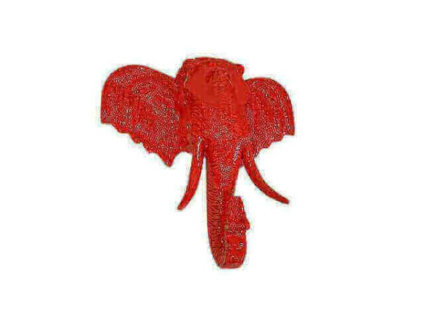 Elefantenkopf