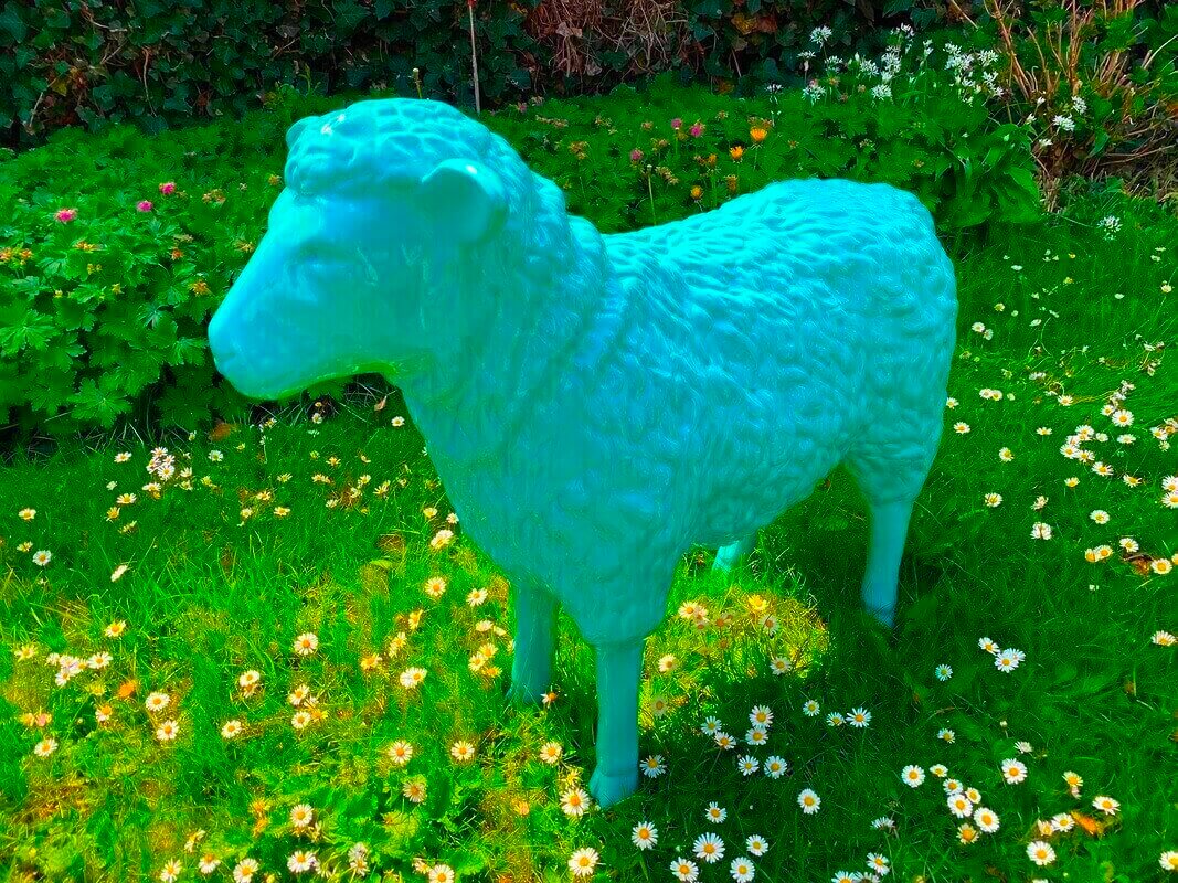 Schaf Kopf gerade aus in Pastel Türlis