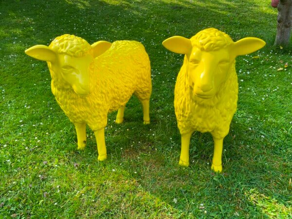 Schaf Kopf nach links und Schaf Kopf gerade aus in gelb