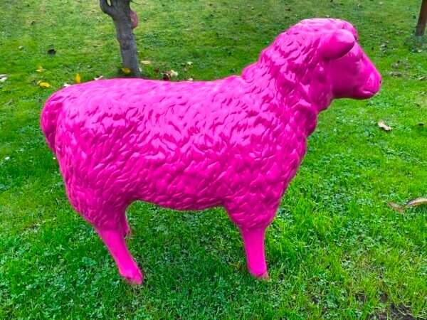 Kunst Schaf in pink