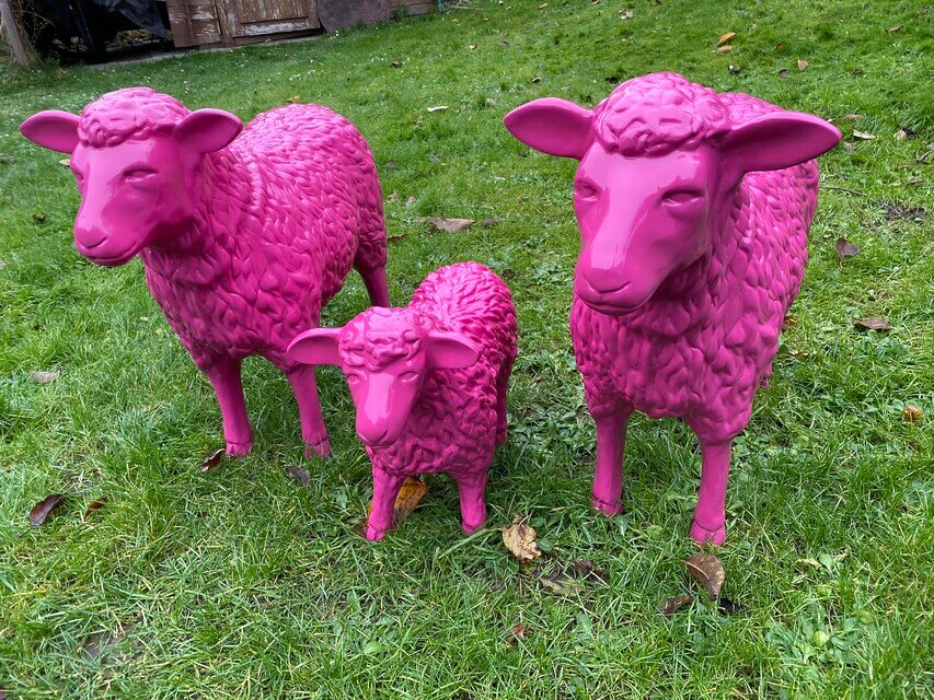 Zwei Schafe und ein Lamm in Pink