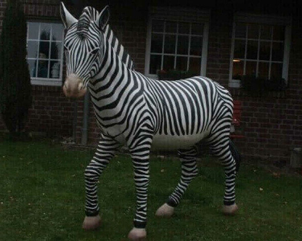 Individuell bemaltes Deko Zebra
