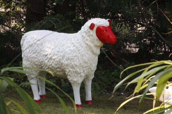 Dekoration Schaf rotes Gesicht