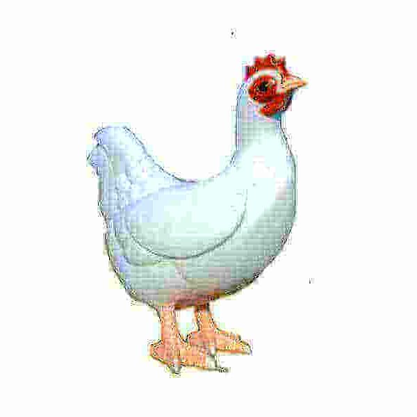 Riesiges Huhn aus GFK