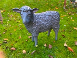 Deko Kunst Schafe Betongaru glänzend von Tierische Kunst