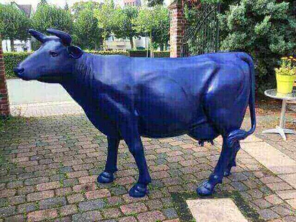 blaue deko kuh