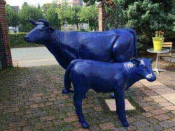 blaue deko kuh und deko kalb