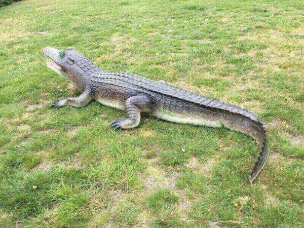 Lebensgroßes Deko Krokodil