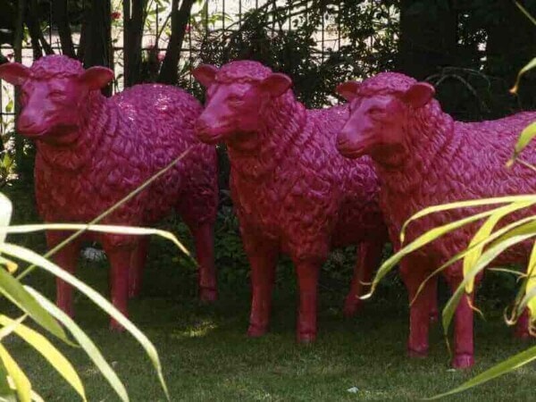Drei Deko Schafe in pink