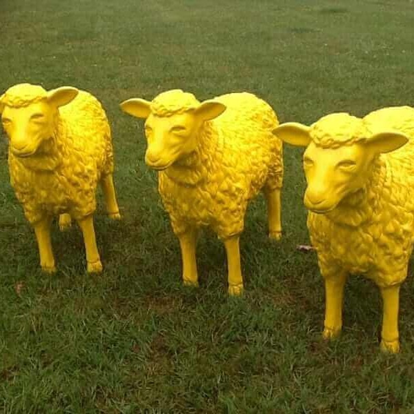 Drei Schafe gelb