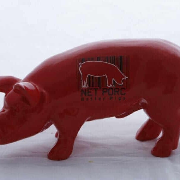 Firmen Schwein net porc
