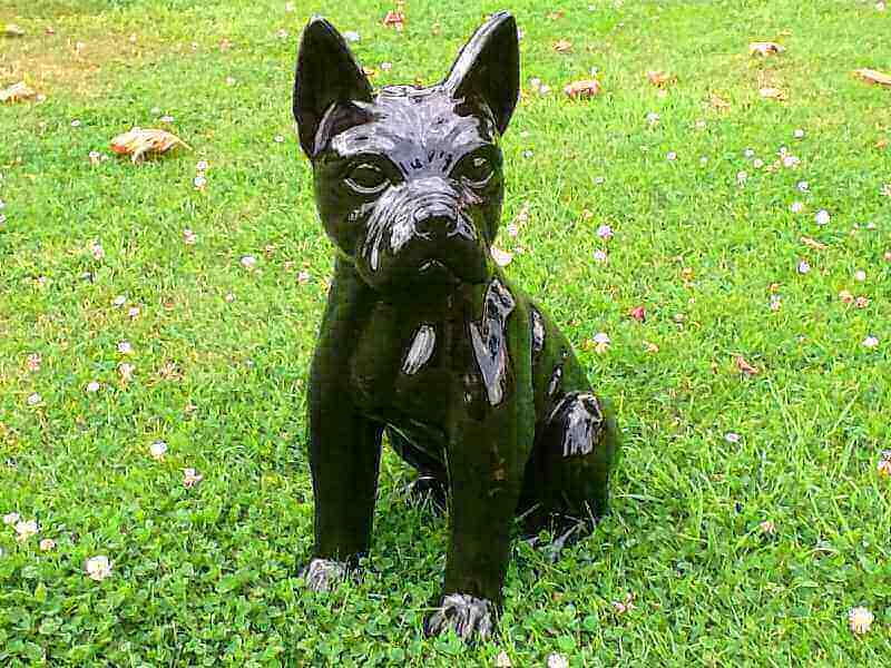 Dekoration Hund (Französische Bulldogge) schwarz 6FU0014 Clayre & Eef