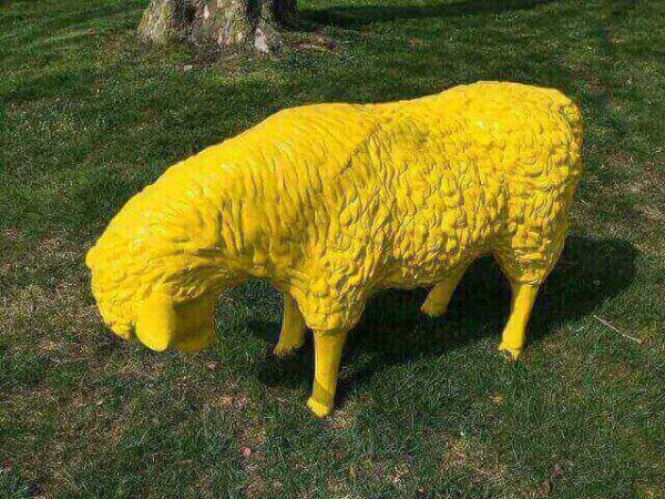 Gelbes fressendes Schaf