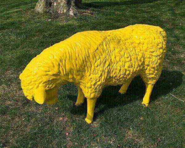 Gelbes fressendes Schaf