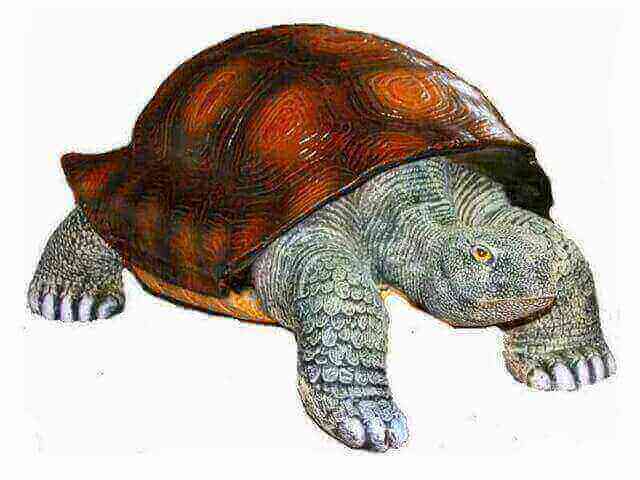 Riesen Deko Schildkröte natürlich