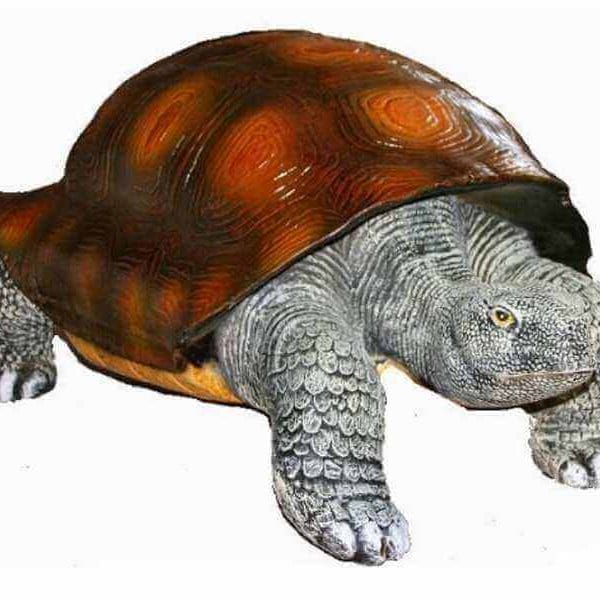 Riesen Deko Schildkröte natürlich