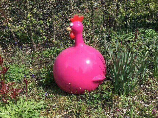 Rundes dickes Huhn in pink
