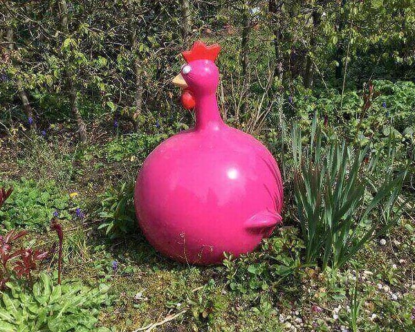 Rundes dickes Huhn in pink