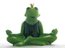 Yoga Frosch mit Krone im Badedress