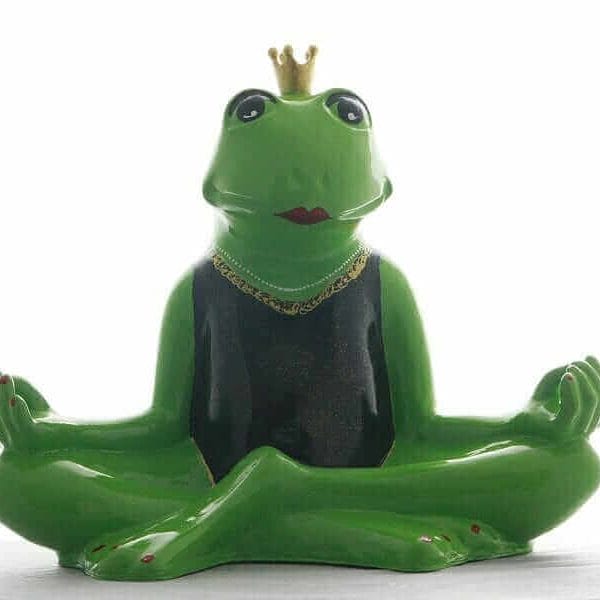 Yoga Frosch mit Krone im Badedress