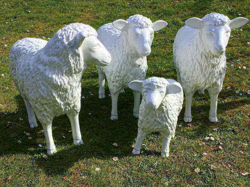 Drei Schafe und ein Lamm
