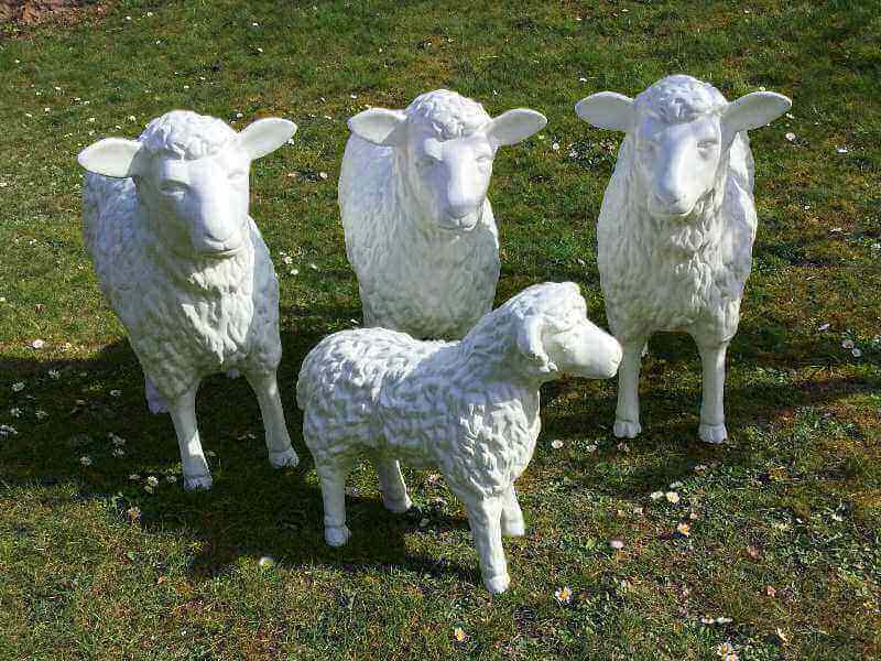 Drei Schafe und ein Lamm gerade aus schauend