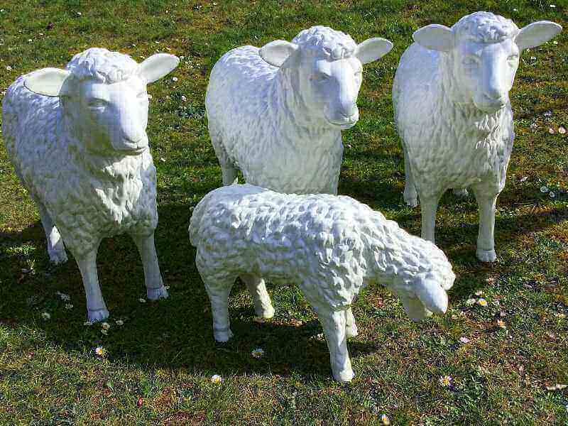 Dreui Schafe gerade aus scheuend und ein Lamm fressend