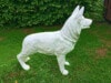Schäferhund Skulptur als Rohling