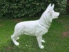 Schäferhund Rohling Skulptur