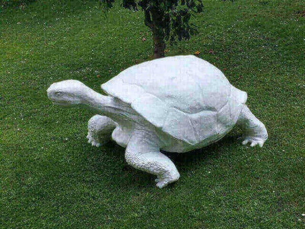 Riesen Deko Schildkröte als Rohling