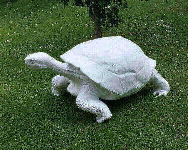 Riesen Deko Schildkröte als Rohling