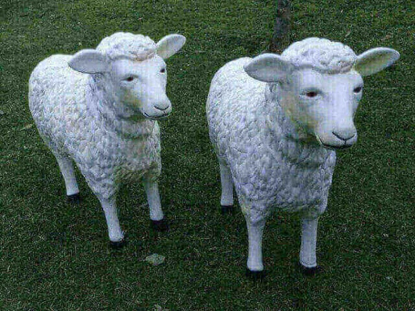 Decorative sheep, of course