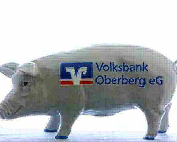 Sparschwein Volksbank Oberberg