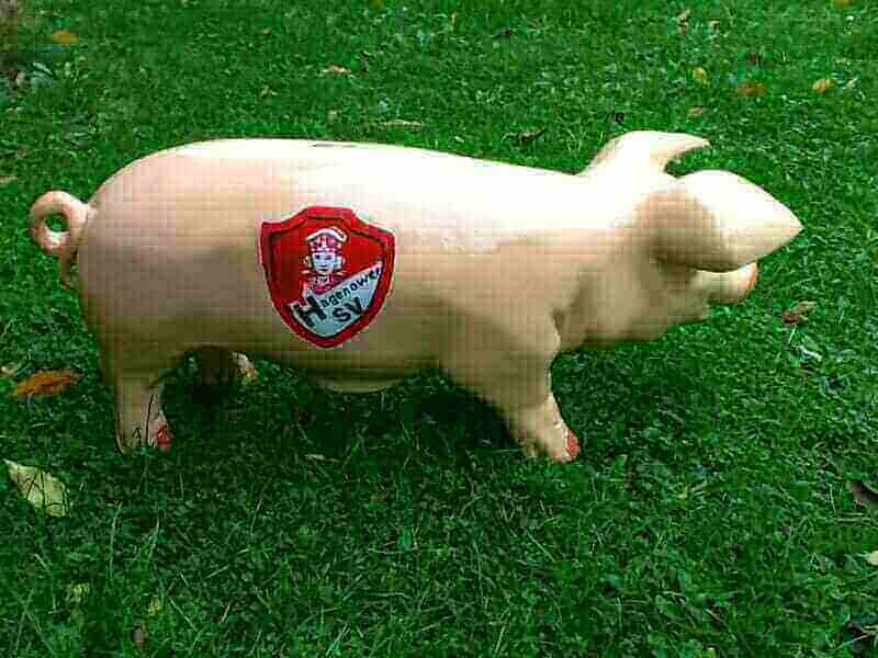 Sparschwein für den Verein