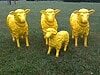 Drei Schafe und ein Lamm in gelb