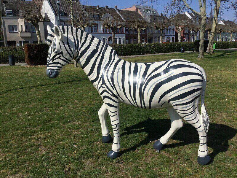 GFK Zebra schwarz weiss