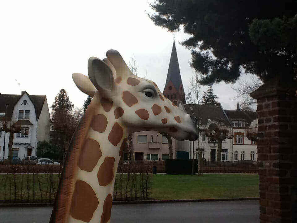 Deko Giraffe natur