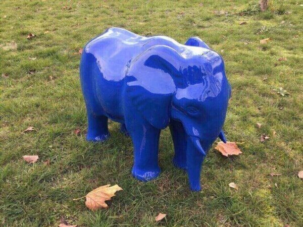 Elefant in Enzianblau