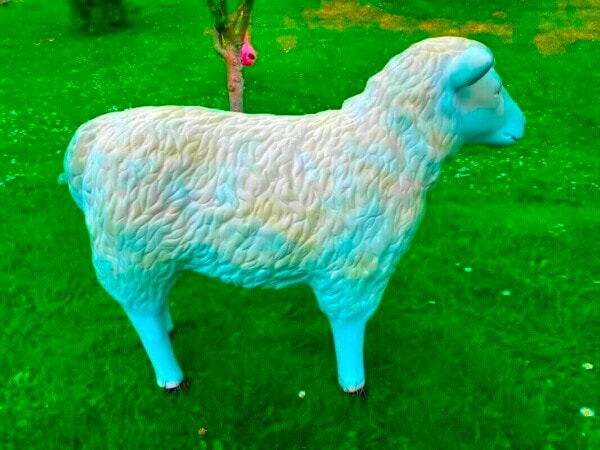 Kunst Schaf natürlich