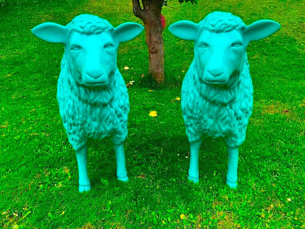 Zwei Deko Schafe in der Farbe Petrol