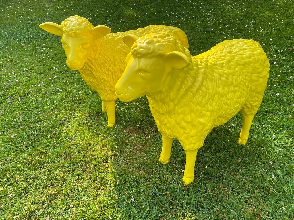 Zwei gelbe Schafe