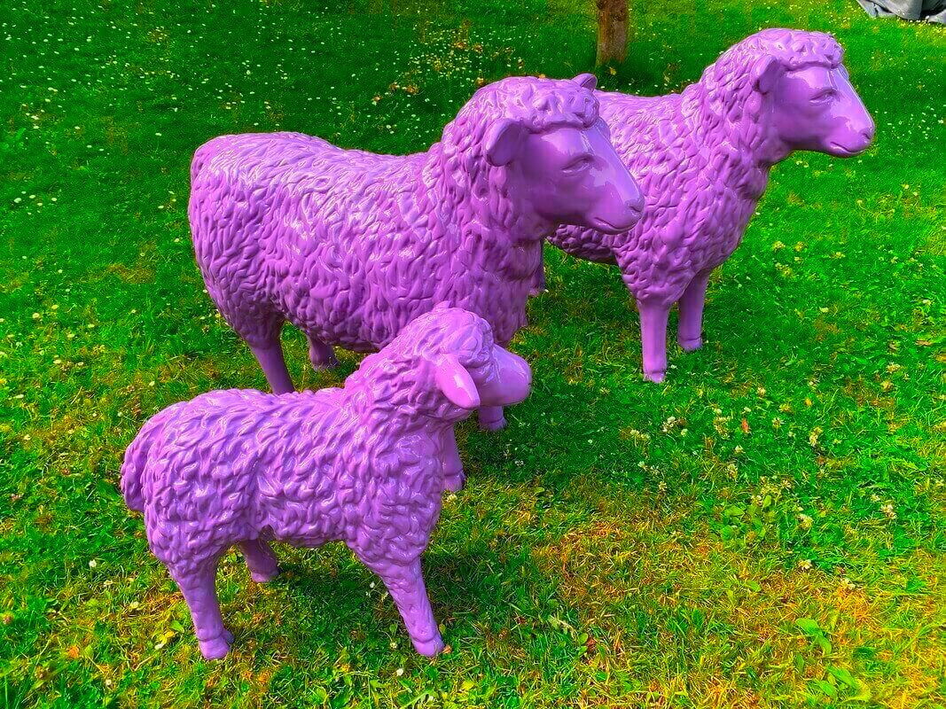 Zwei Schafe und ein Lamm