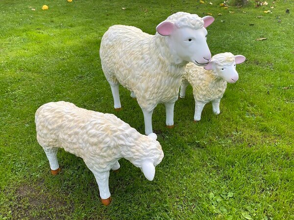 Zwei Lämmer und ein Schaf natur